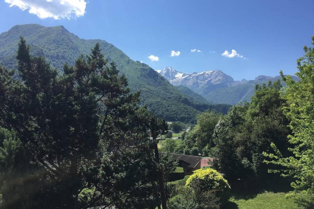 Chalet De L'Ours Brun, Gite 3 Etoiles Gere-Belesten Dış mekan fotoğraf
